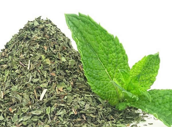 تصویر 3 از قیمت پونه کوهی خشک شده + خرید باور نکردنی